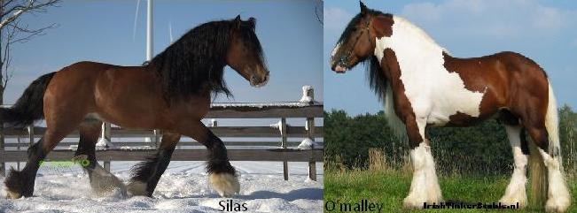 Vader en vaders vader